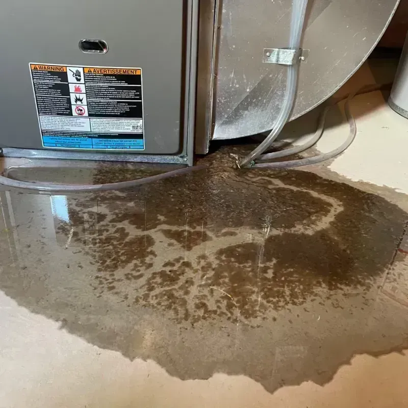 Appliance Leak Cleanup in Bray, OK